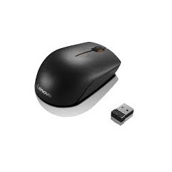 SOURIS  300 bk